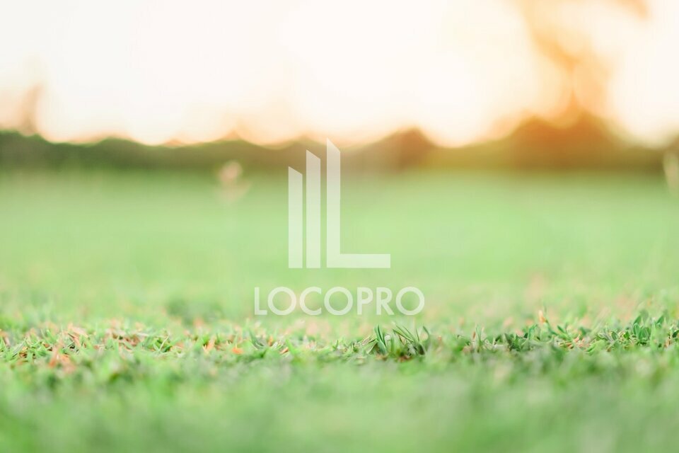 NICE : TERRAIN LOUÉ !